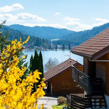Cosy And Exotic - View On The * Gérardmer