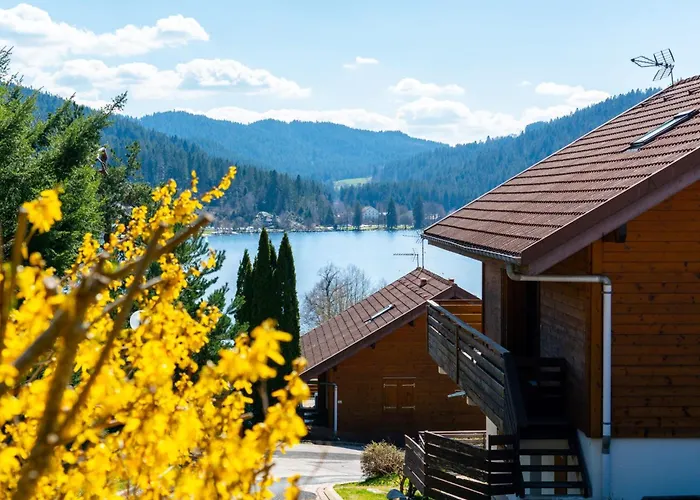 Apartment Cosy And Exotic - View On The *